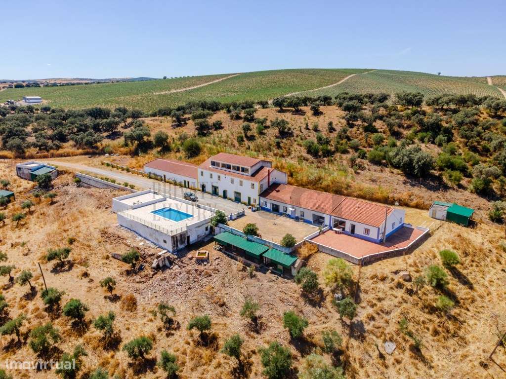 Quinta em Campo Maior, para investimento em turismo rural ... - Grande imagem: 5/60