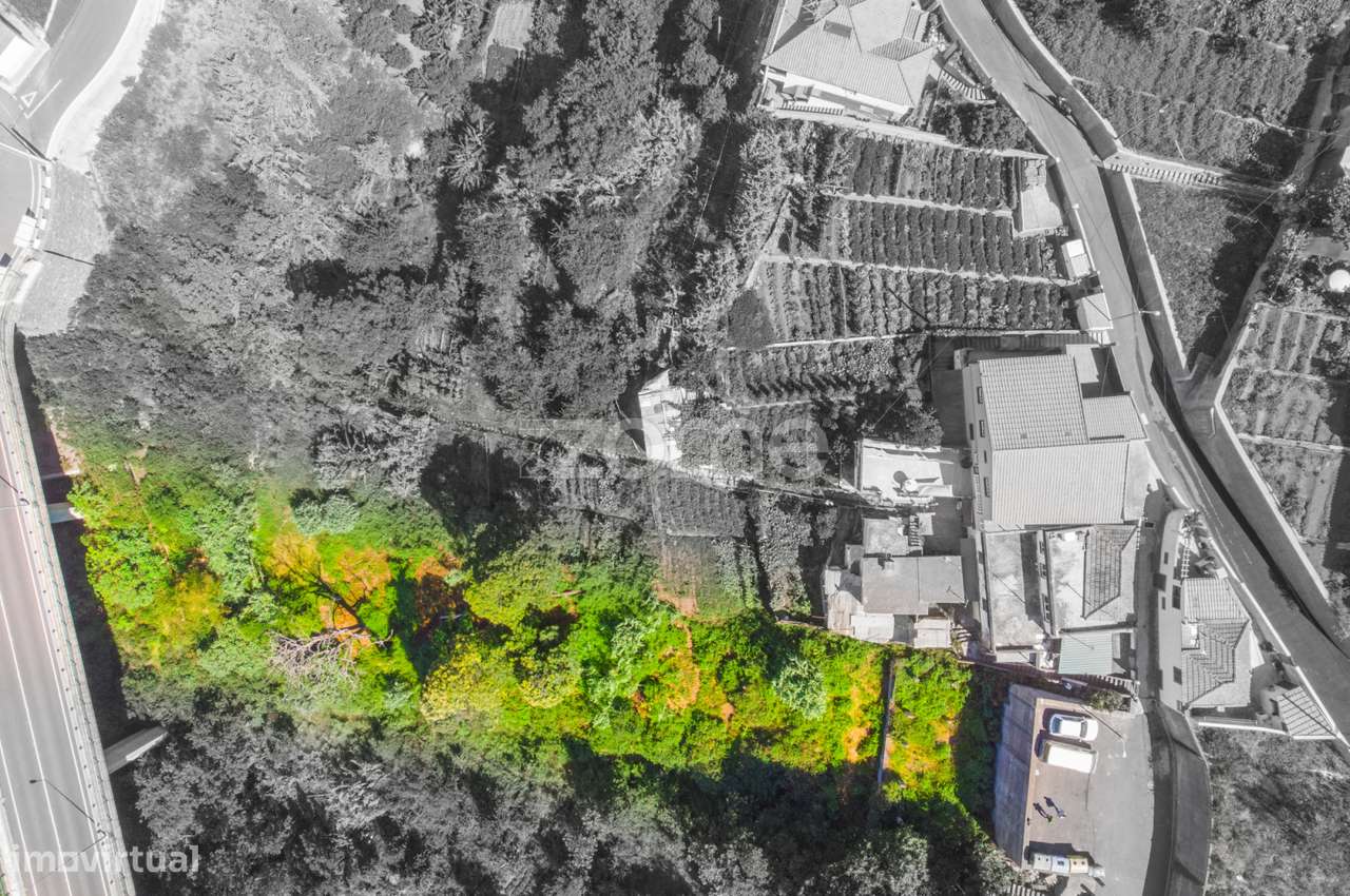 TEREENO LOCALIZADO NO FUNCHAL - Grande imagem: 5/12