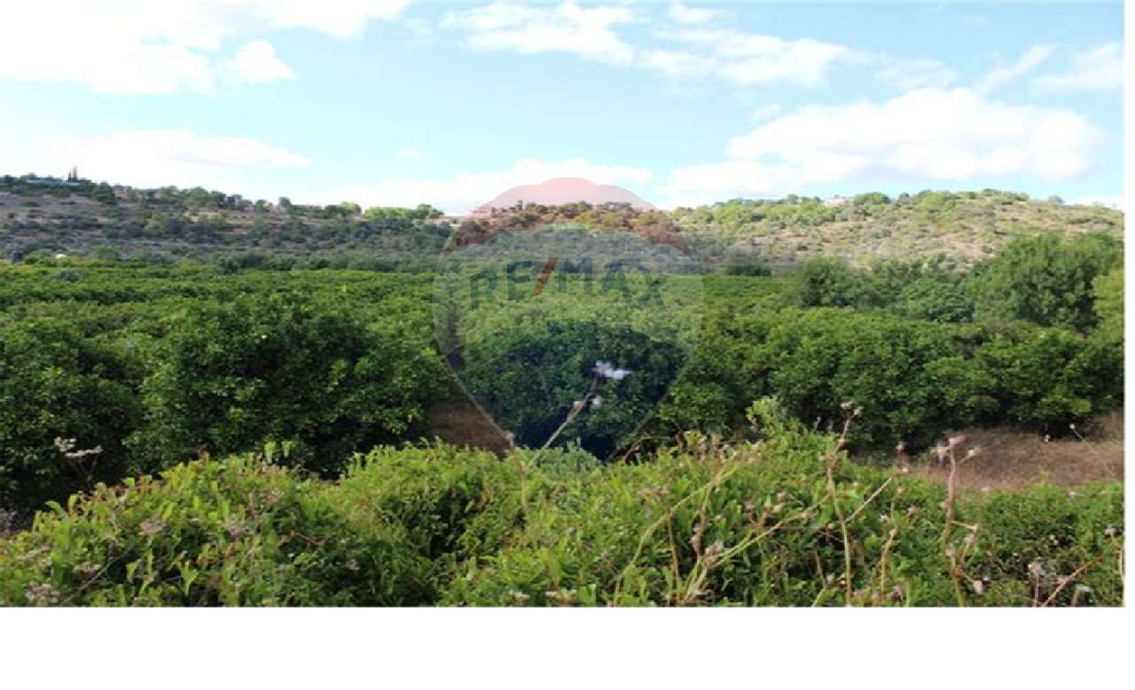 Terreno  para venda - Grande imagem: 1/16