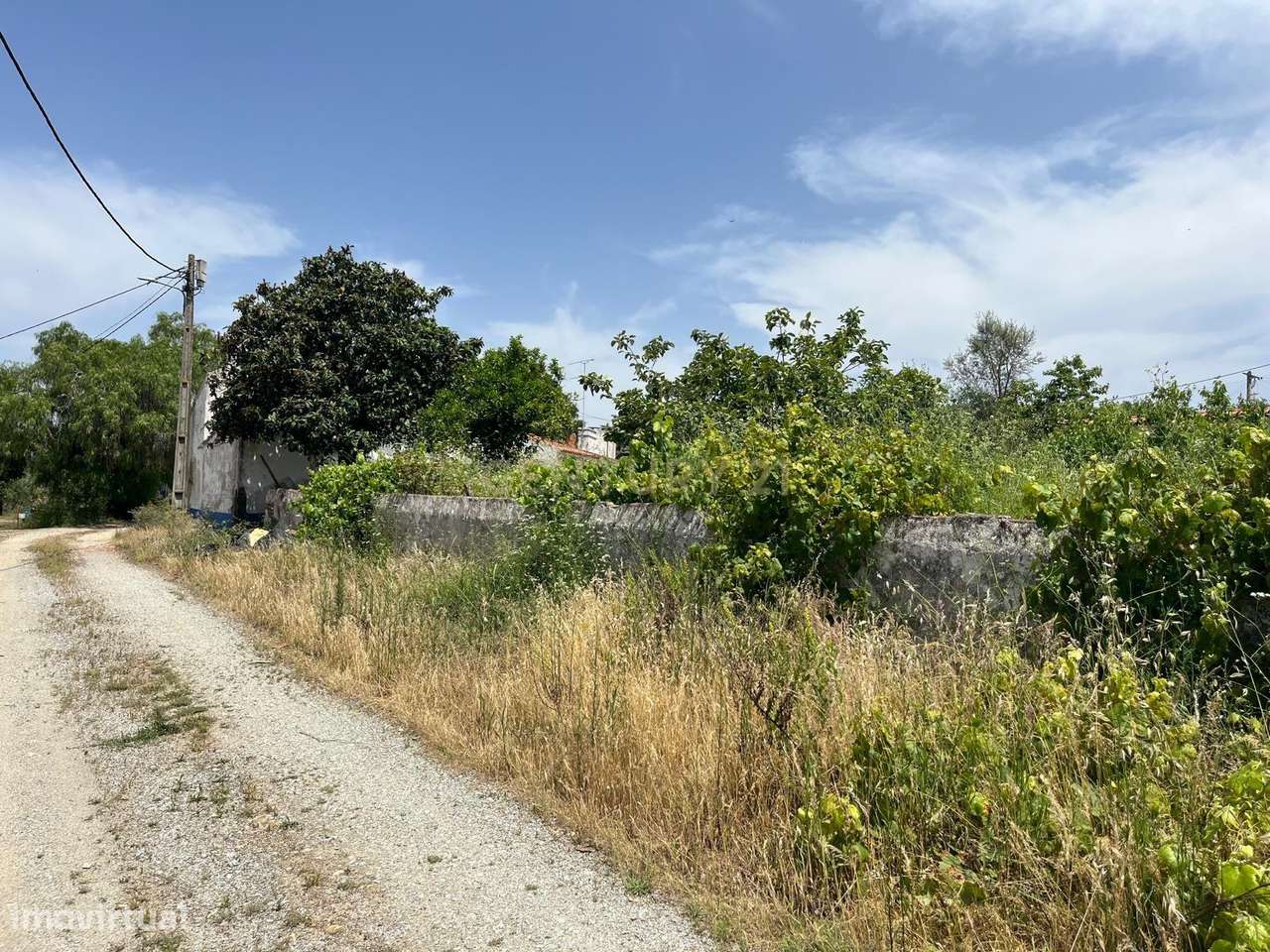 Casa Antiga em Montemor o Novo com Vista Campestre-3