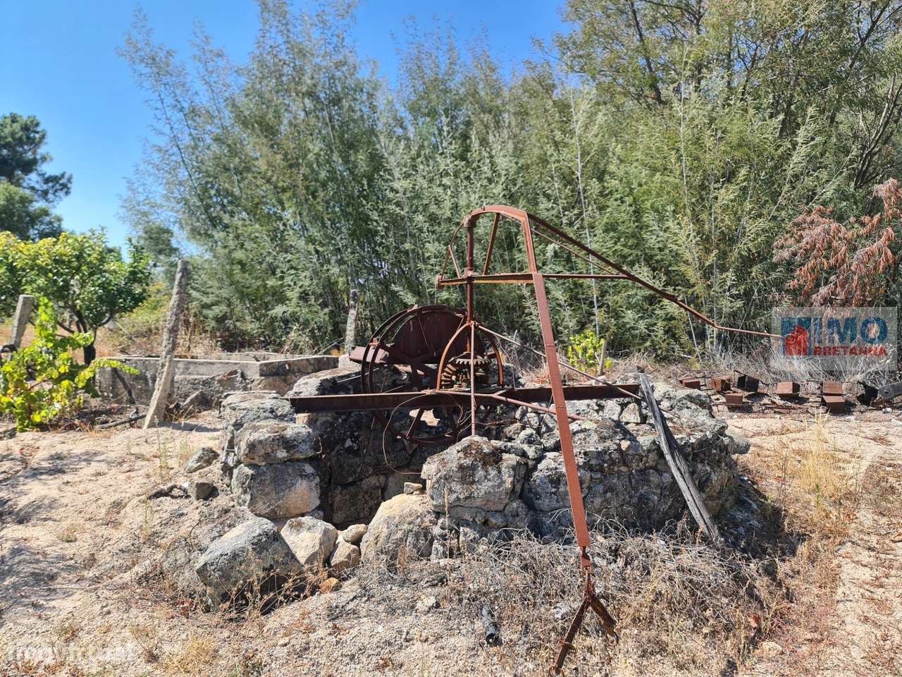 Quinta na Lardosa - Grande imagem: 4/12