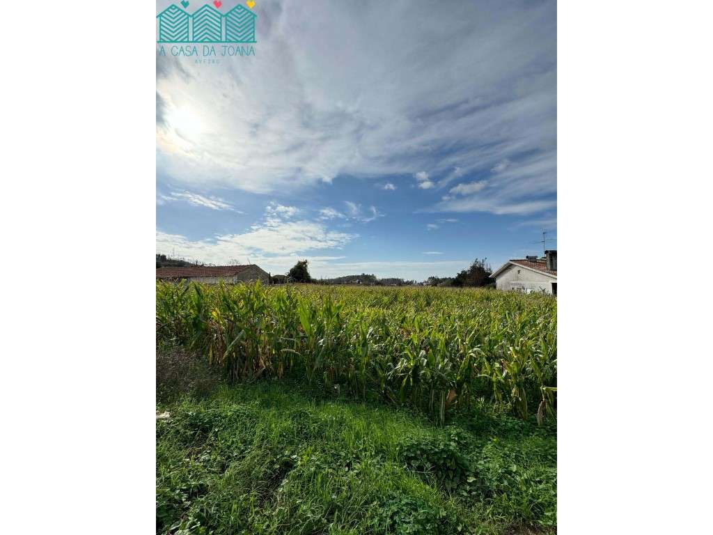 2 Terrenos na Branca - Grande imagem: 5/7