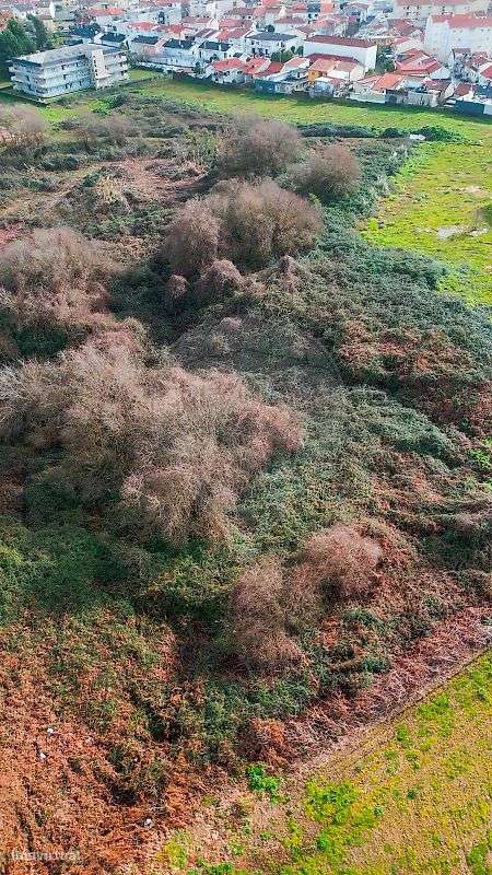 Terreno  para venda - Grande imagem: 5/6