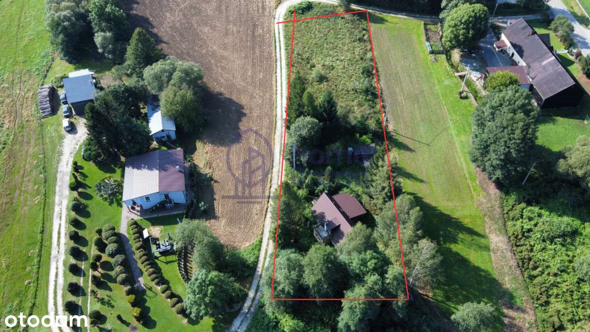 Duża działka 3300m2| Dom do remontu| Góry - Pełny obrazek: 4/13