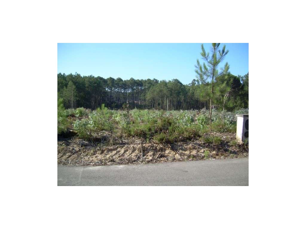 Terreno Venda Leiria - Grande imagem: 3/3