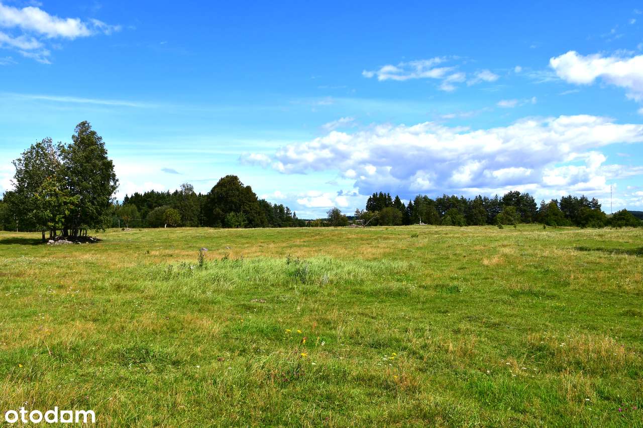 Piękna działka w otulinie Suwalskiego Parku Krajobrazowego. OKAZJA !!! - Pełny obrazek: 5/11