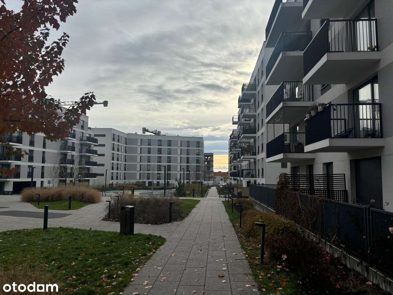 Nowoczesny lokal usługowy na wynajem z parkingiem - Pełny obrazek: 4/6