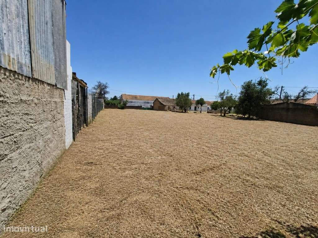 ARMAZÉM (Lote c/ 900 m²)-5