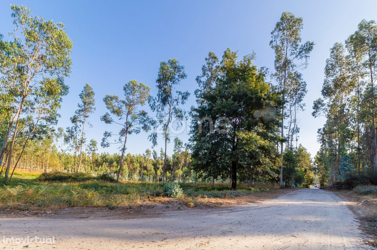 Terreno Rústico com 7.900 m2 em Monte Córdova - Santo Tirso