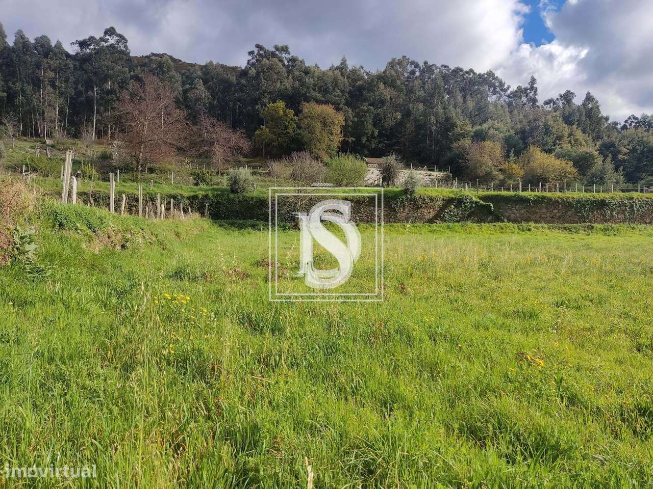 Terreno em UDF de Messegães, Valadares e Sá - Grande imagem: 4/13