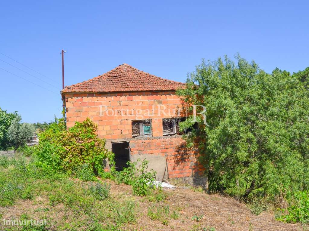 Lote com casa para recuperar e quintal em Proença-a-Nova - Grande imagem: 5/14