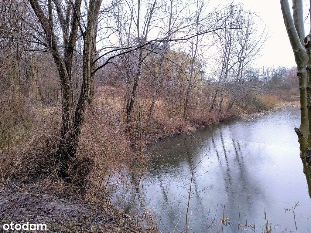 Sprzedam nieruchomość gruntową Kcynia - Pełny obrazek: 5/6