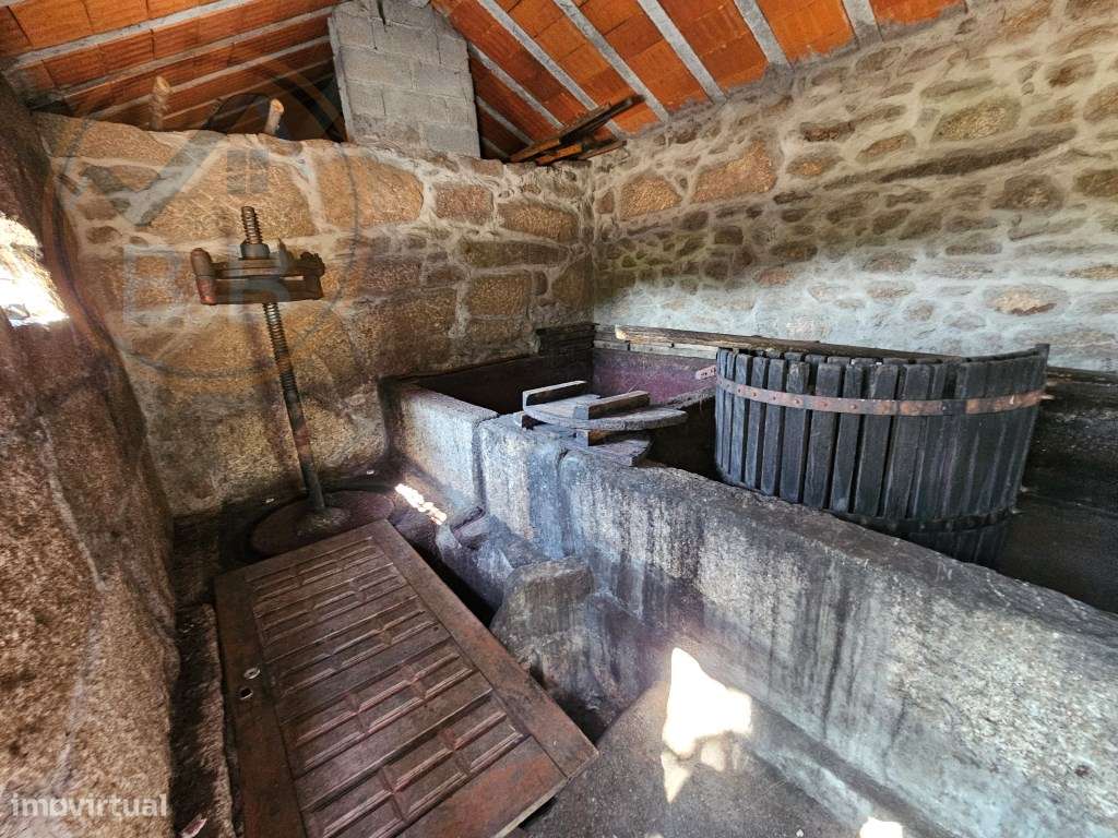 Quinta com Moradia T4 em Leiradas, Rio Douro - Cabeceiras de Basto-36