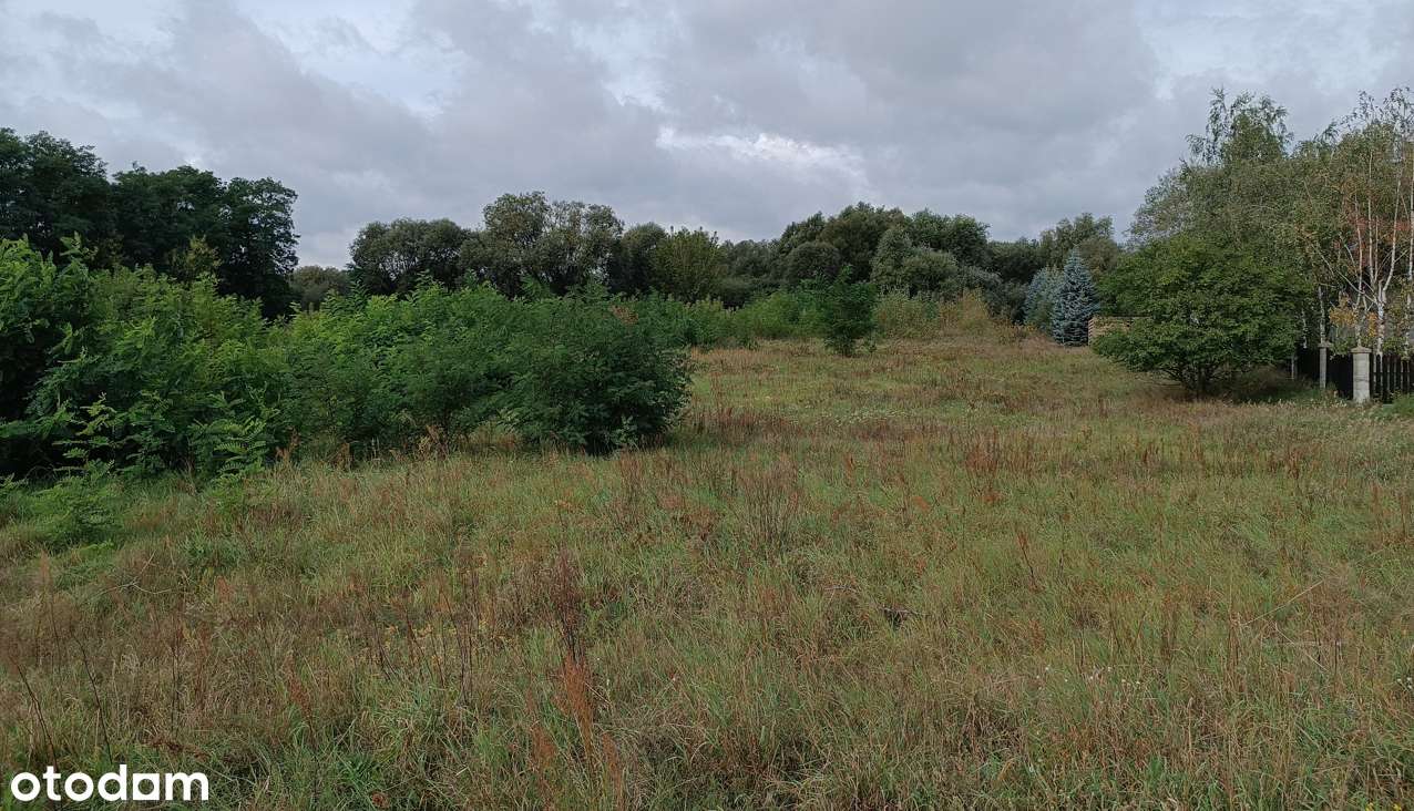 Osowo, Września - budowlane, warunki zabudowy, ustawne - Pełny obrazek: 4/6