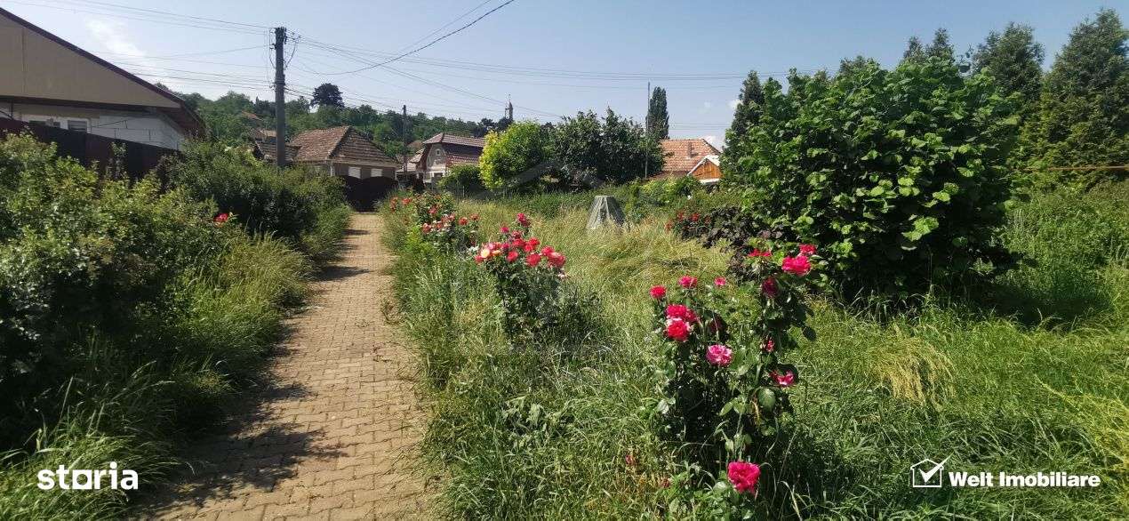 Casa individuala cu gradina frumoasa, teren mare Moldovenesti-Cluj - Imagine principală: 3/19