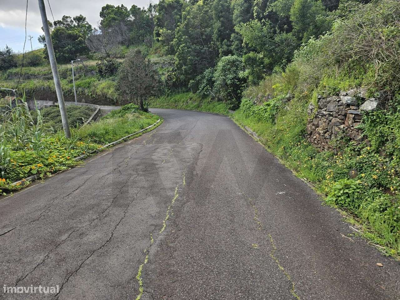 Terreno com projecto aprovado em Gaula - Grande imagem: 5/17