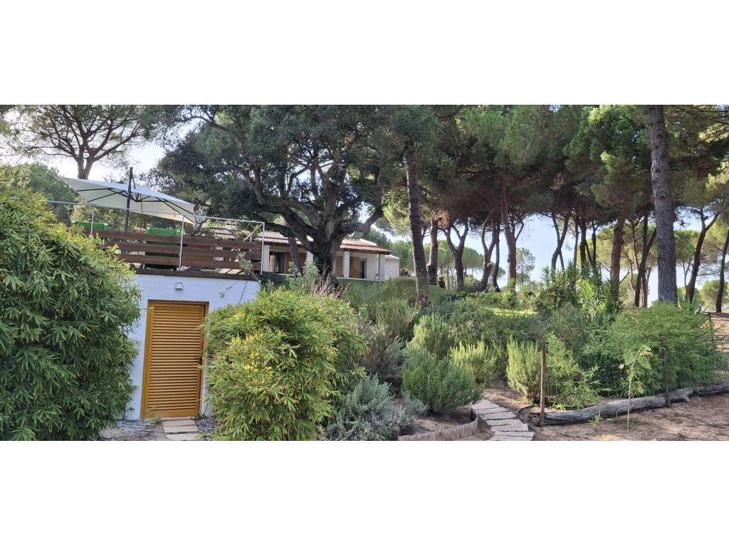 Luxuosa propriedade entre Grândola e Comporta, com 24 hectares-38