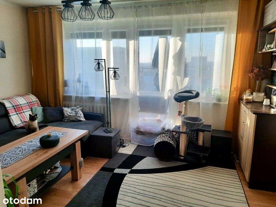 Przytulna kawalerka z widokiem – Osiedle Zachód-0