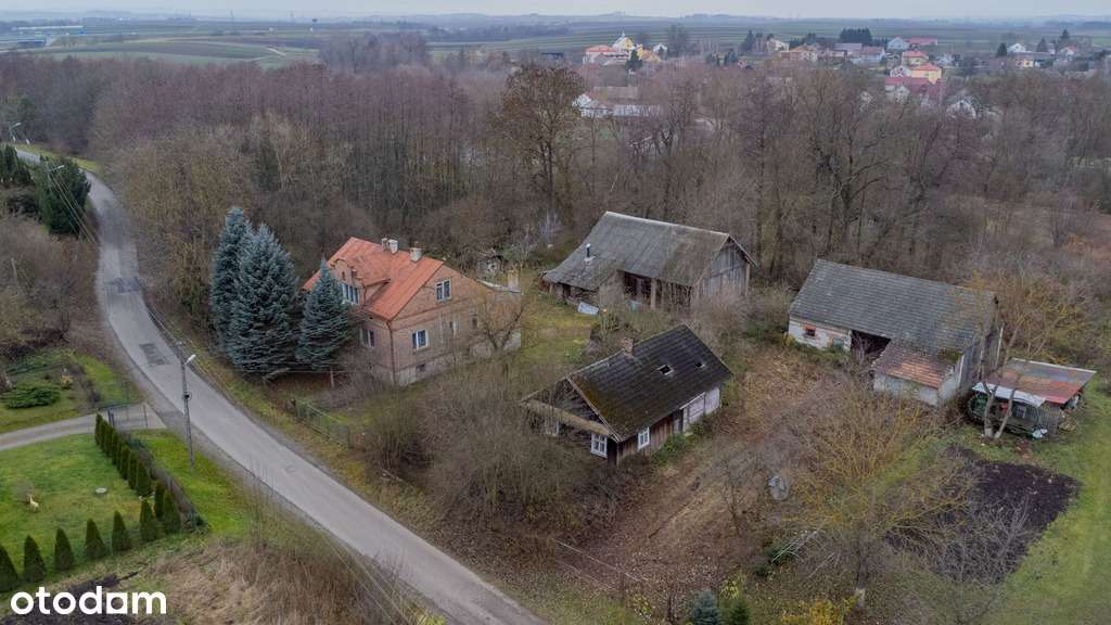 Działka z zabudowaniami + media - Skołoszów - Pełny obrazek: 4/10