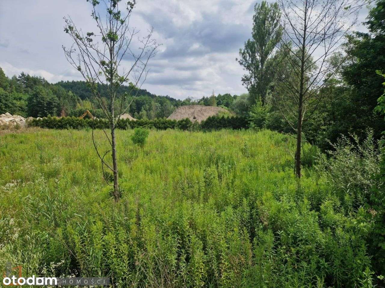 Działka, 2 600 m², Maszków - Pełny obrazek: 5/6