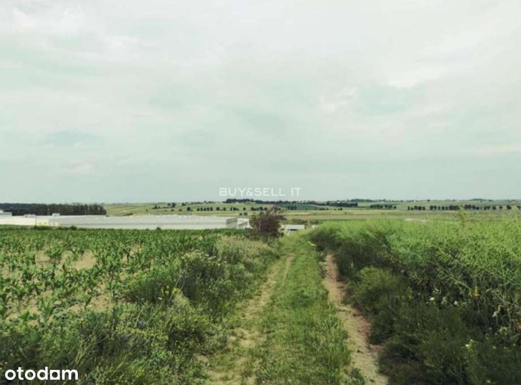 Działka z WZ | 6 budynków dwulokalowych-3