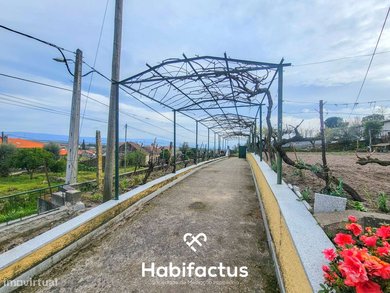 Moradia Isolada T3+2 inserida num Terreno Produtivo de 5.579 m2, á ven - Grande imagem: 5/60