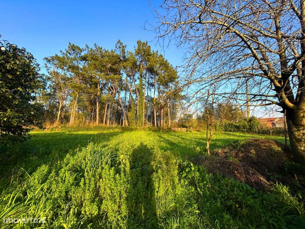 Moradia para Restaurar com 2.590 m² de Terreno, Privacidade e Excel...-22
