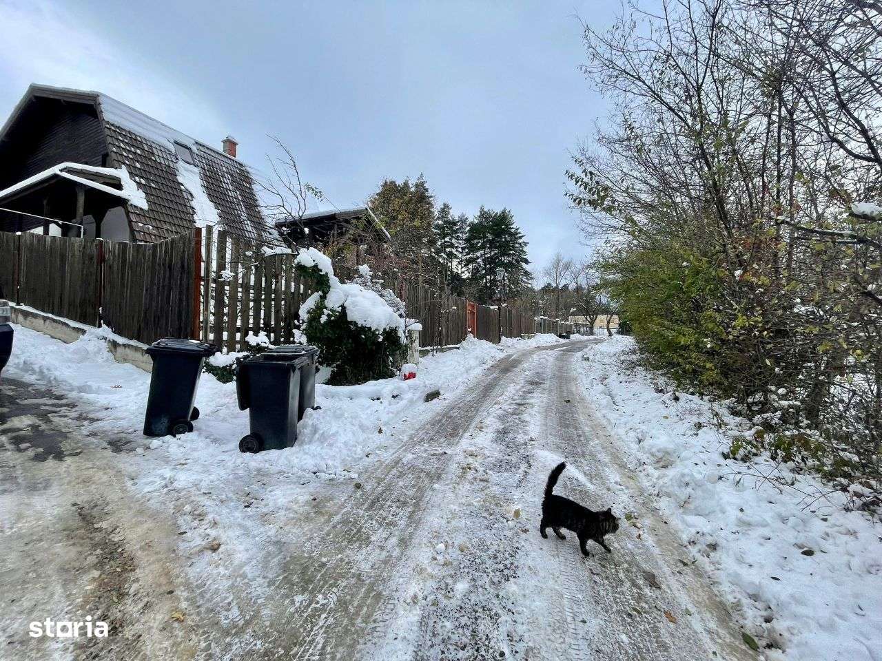 Teren de vanzare Sacele - Imagine principală: 3/3