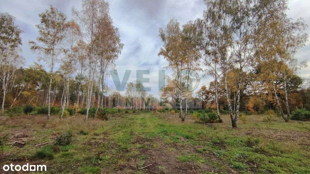 Radzyny - działka budowlana pod lasem-0