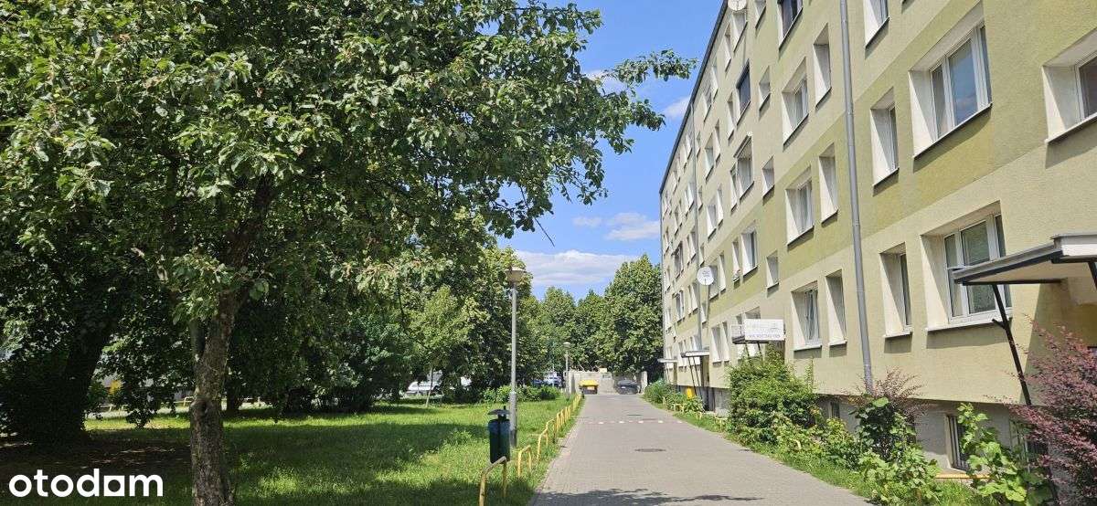 Winogrady, os. Wichrowe Wzg., 65m2, 3 pok., I ptr. w niskim bloku!-18