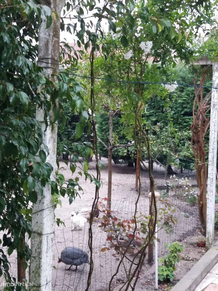 Lote Urbano 369m² Com Habitação, Poço, Murado e Infraestruturas Pagas! - Grande imagem: 4/6