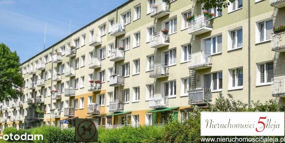 3 pok os Pod Lipami Winogrady 1 piętro niski