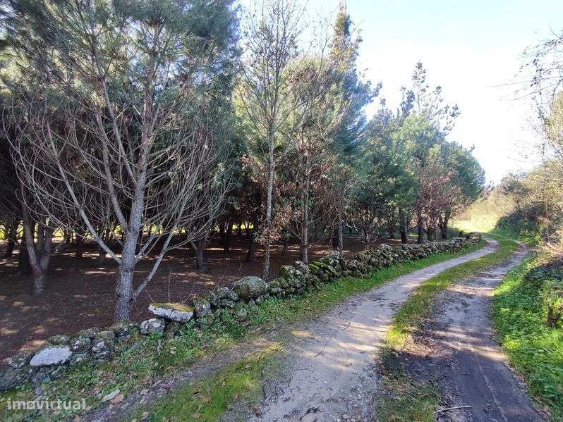 Vendo Terrenos - Vários - Grande imagem: 4/12