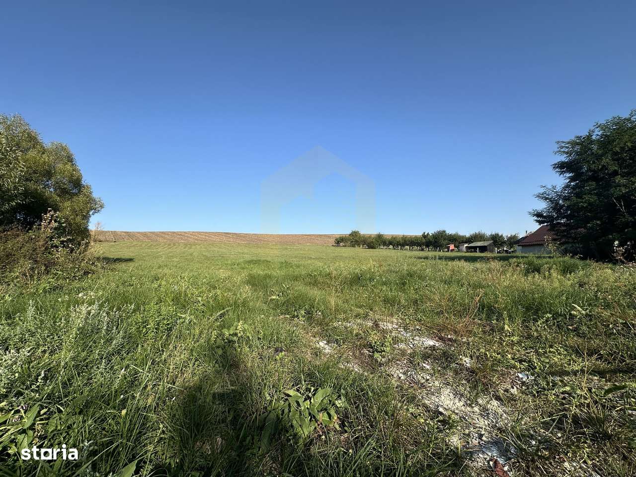 Vanzare teren 2936 mp, zona strada Dealu Fanatelor-7