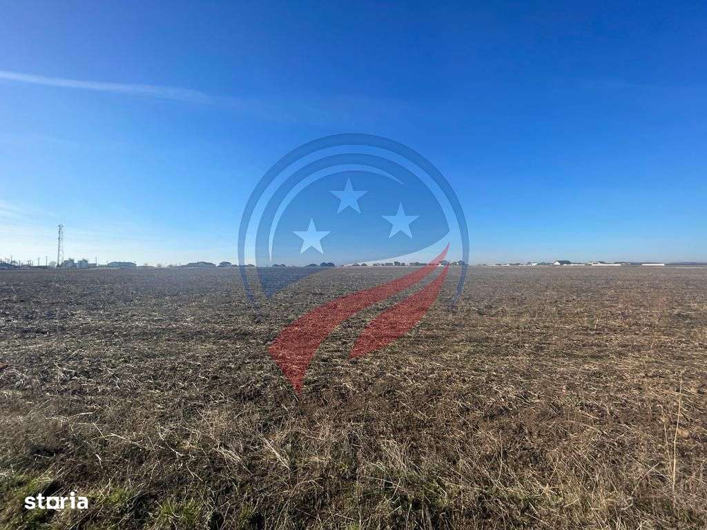 Teren 5000 mp Ghercesti in apropierea DEX - Imagine principală: 1/3