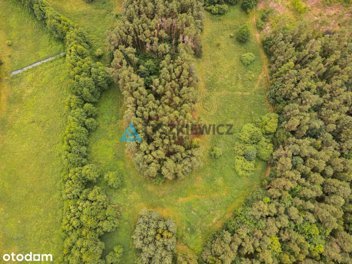 Działka przy lesie i koło rzeczki! - Pełny obrazek: 4/20