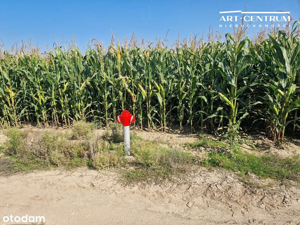 #Tanie działki - Pełny obrazek: 5/7