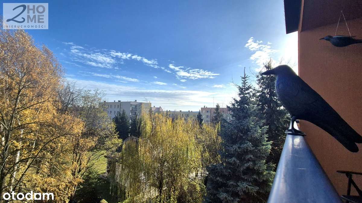 61m2 do remontu na os. Westerplatte - Pełny obrazek: 5/16