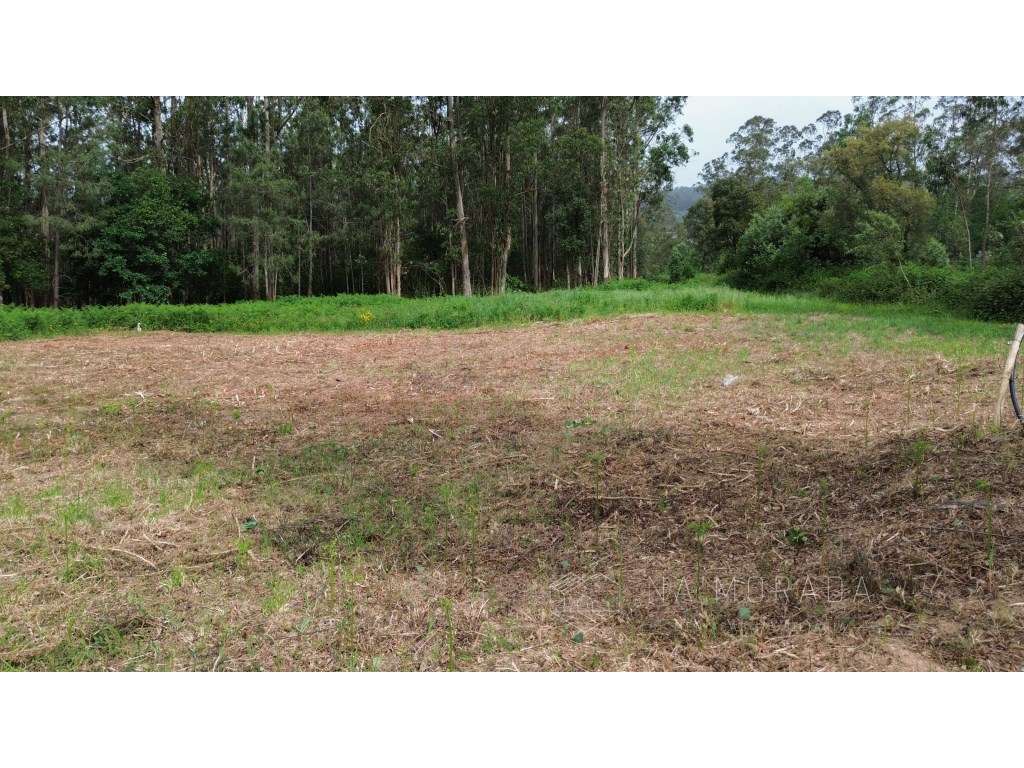 Lote com projeto aprovado para moradia em São Miguel de Souto - San...-13