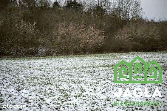 piękna działka budowlana Gruczno - Pełny obrazek: 5/10