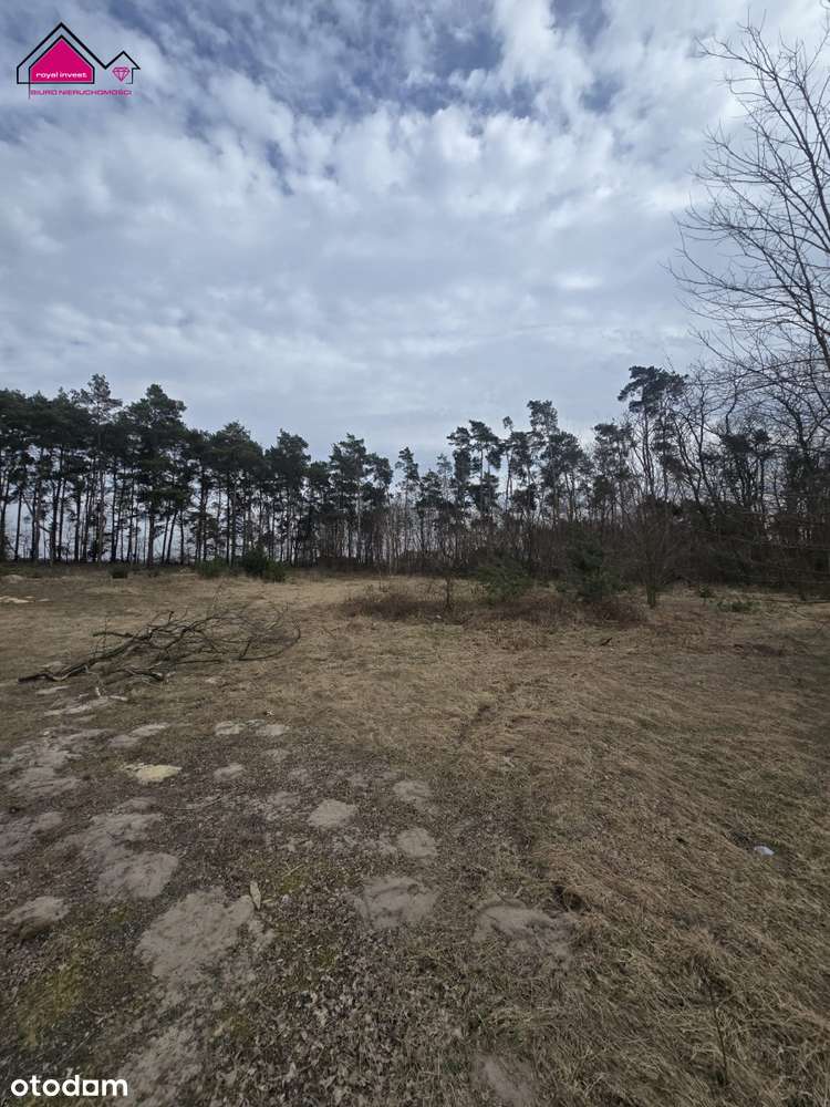 Działka z własnym lasem blisko centrum Konina-5