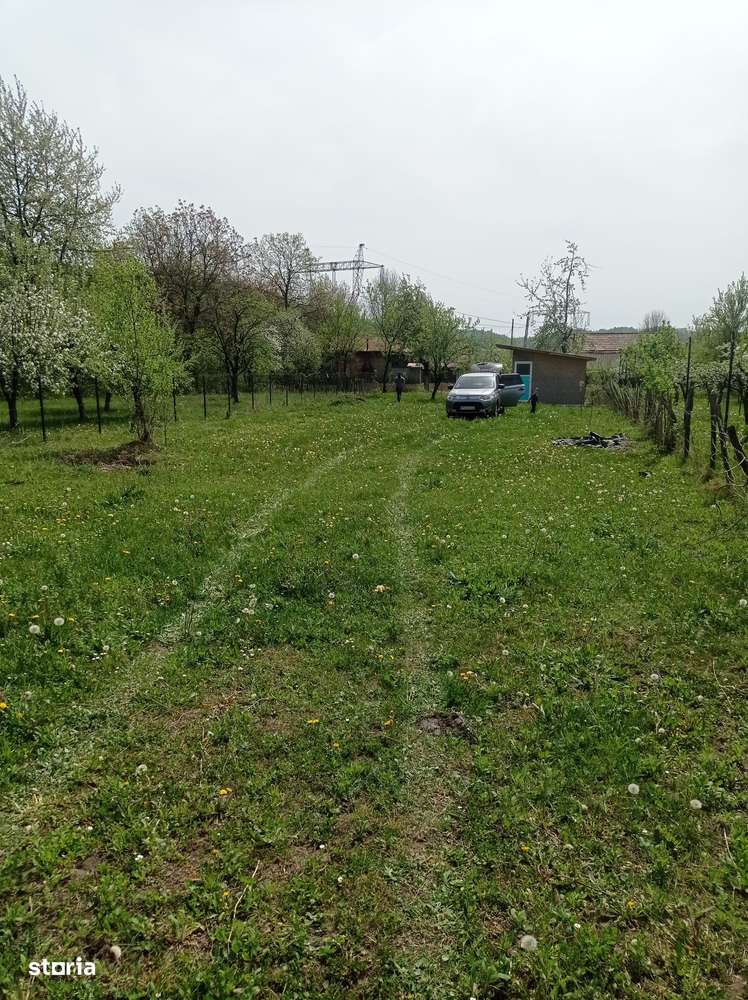 Brebu - teren intravilan - 718mp - 48 Euro/mp - Imagine principală: 5/7