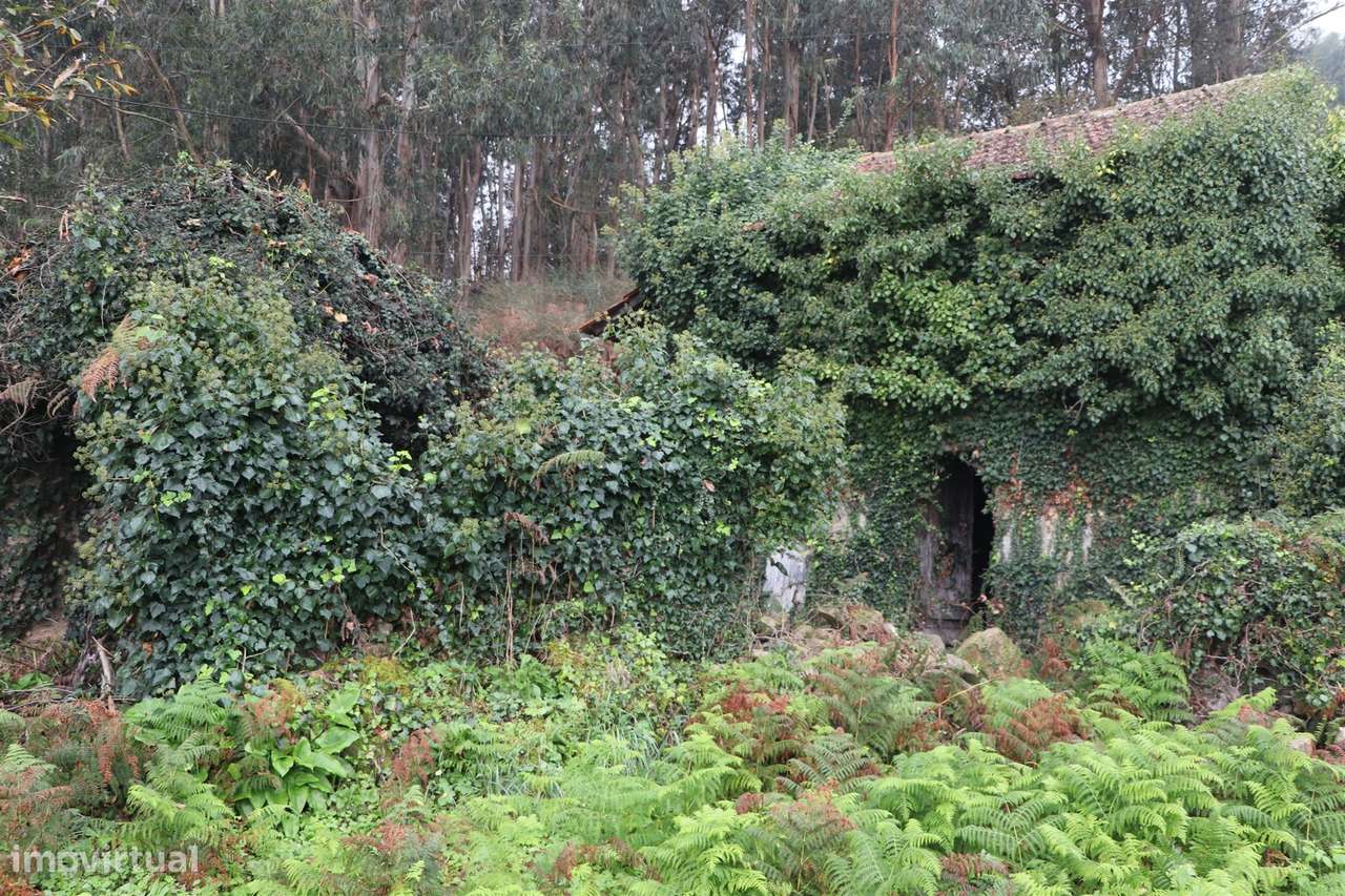 Moradia para Restaurar T2 Venda em Unhão e Lordelo,Felgueiras - Grande imagem: 5/12