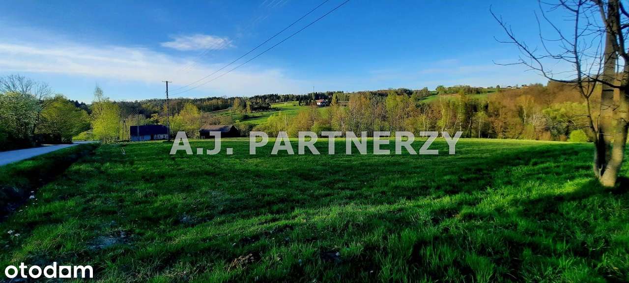 Działka w zielonej okolicy-6