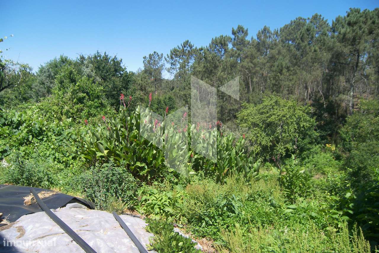 Terreno Para Construção T2 Venda em Dardavaz,Tondela - Grande imagem: 3/11
