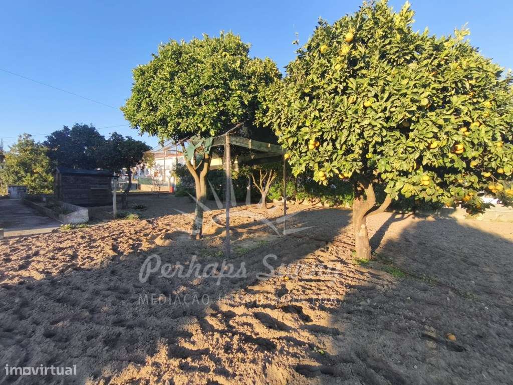 Moradia Melides - Grande imagem: 3/29