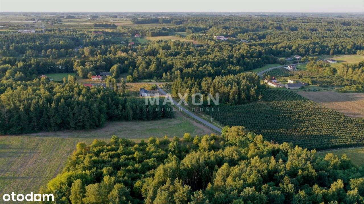 Działka budowlana k. Grójca - 3887 mkw - Pełny obrazek: 5/20