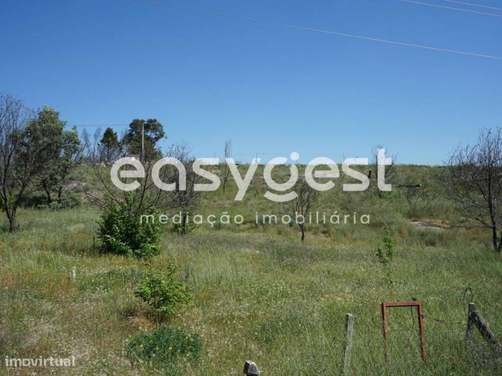 Quinta com 4,3 hectares junto à Aldeia Histórica de Sortelha - Grande imagem: 5/30