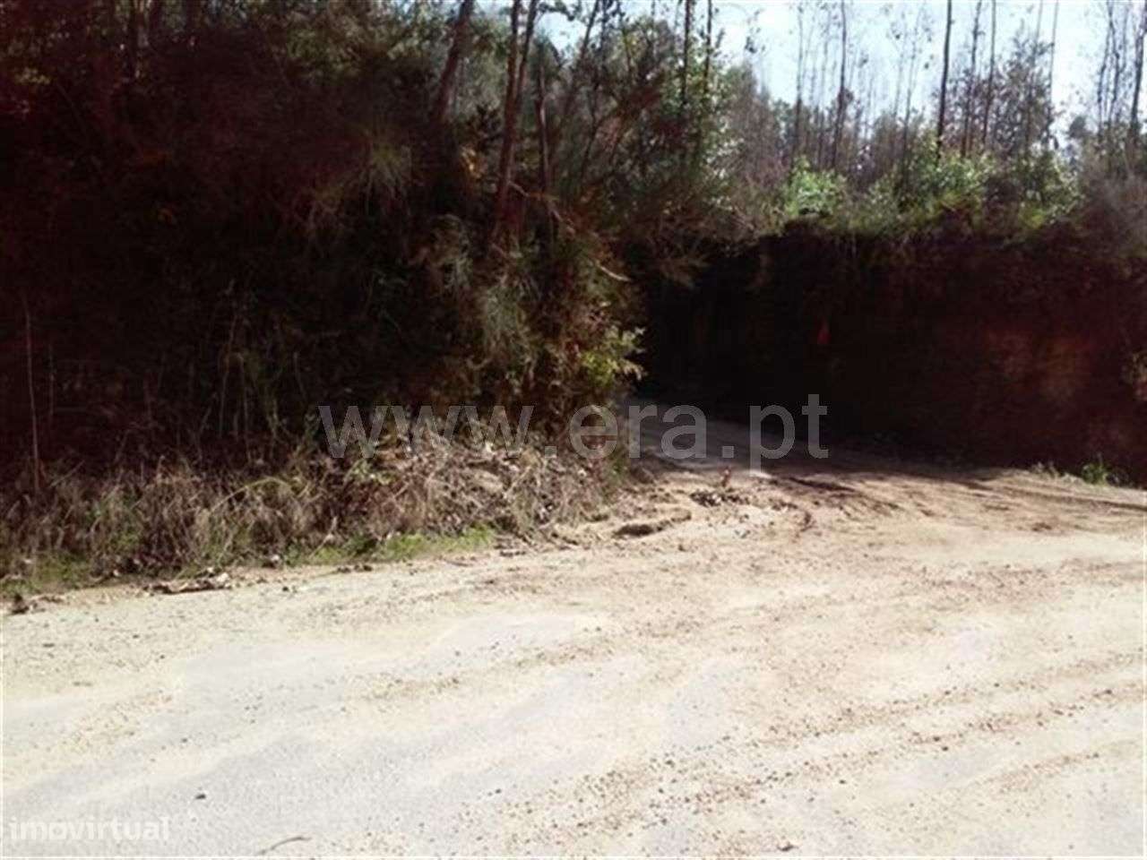 Terreno em Arnozela - Grande imagem: 3/3