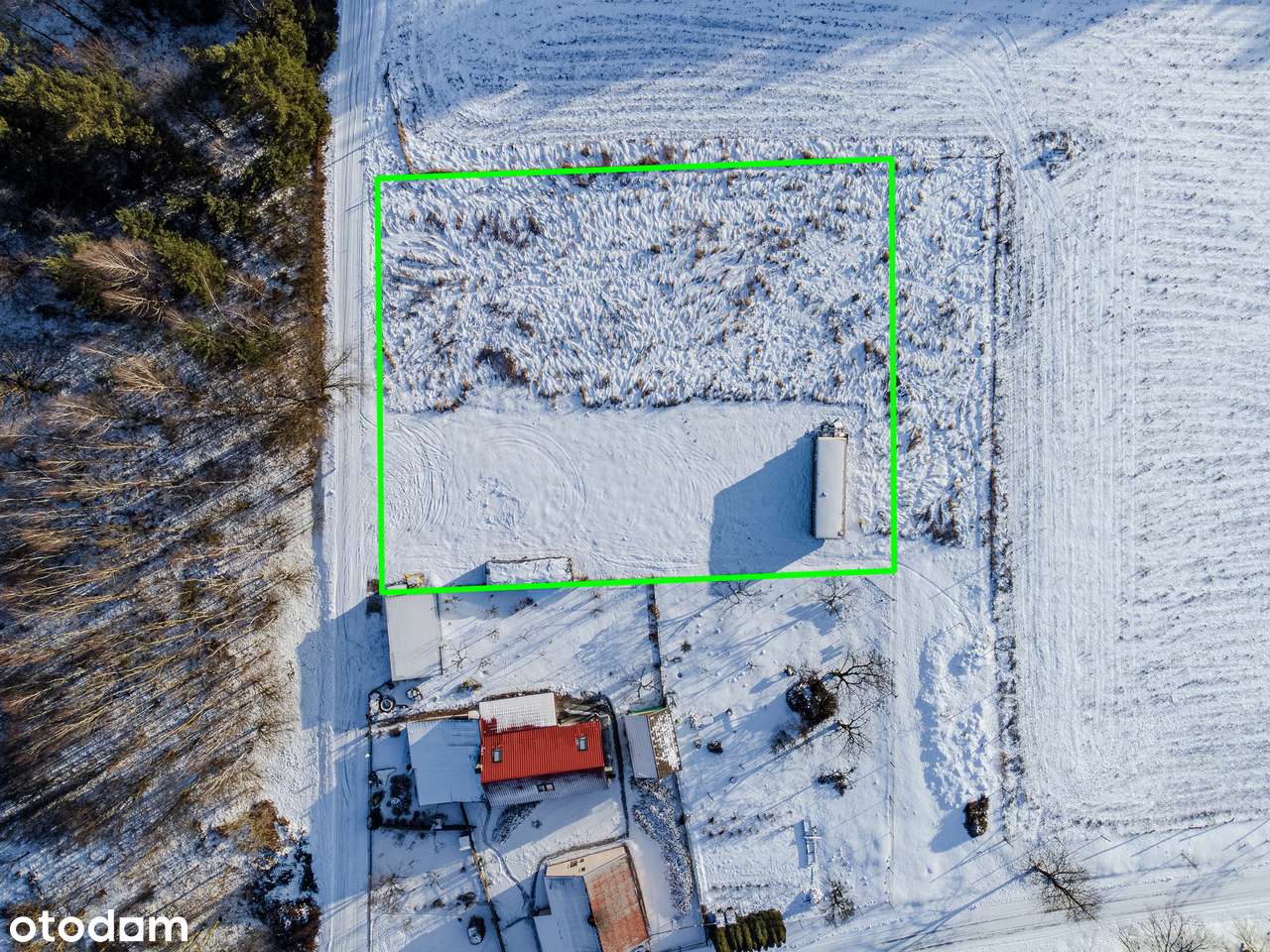 w lesie | nasłoneczniona | woda na działce-1